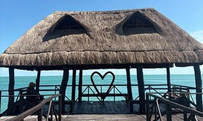 Isla Aguada Campeche : Dolphin watching by private boat