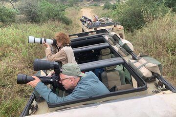 8 Days Serengeti Photo Safari Calving Season