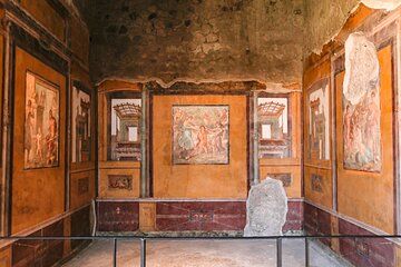 Private Pompeii Tour with Wine Tasting and Lunch from Sorrento