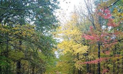 Autumn in Acadia National Park Private Leaf Peeper Driving Tour