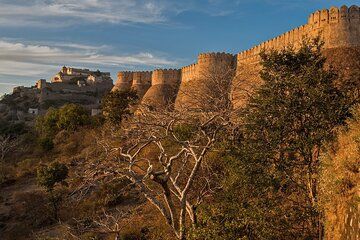 Udaipur to Kumbhalgarh and Ranakpur Day Tour with Wildlife