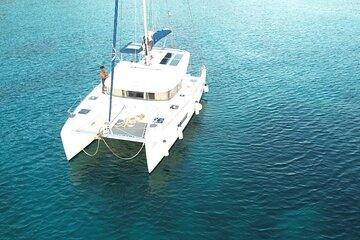 Full day EN Catamaran Martinique Dolphins and Turtles