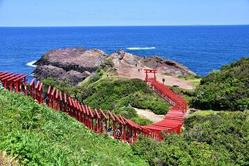 Yamaguchi Highlights and Scenic Wonders Tour from Shimonoseki