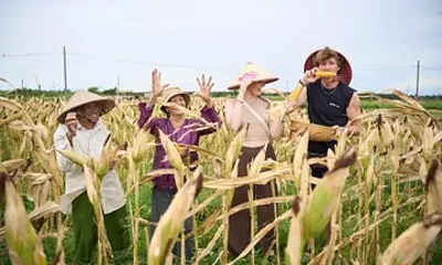Hoi An Heritage Escape Private Culinary and Cultural Journey