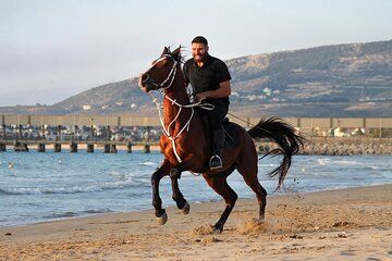 Sunset Beach Horseback Riding in Lebanon