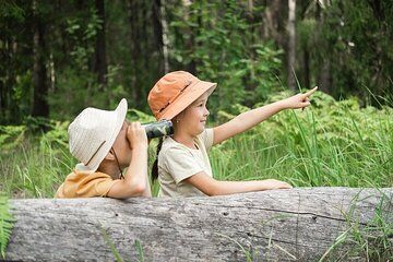 Yellowstone's Nature's Playground in a Family-Friendly Adventure