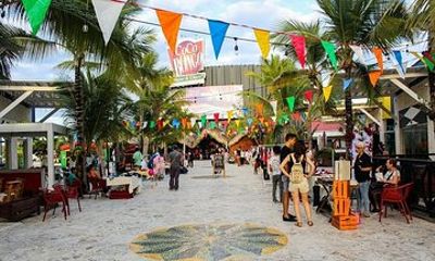 Punta Cana Macao Tour with Minibus Transportation