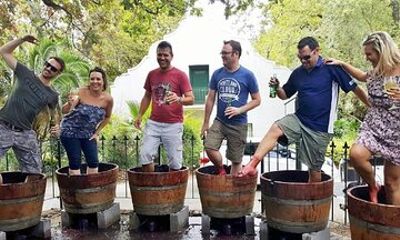 Full Day Wine Tour in Stellenbosch with Shine The Way Tours