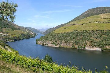 Douro Valley Private Wine Tour with Sommelier, full-day