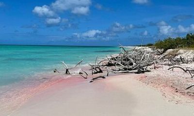 Custom Private Tour of Antigua Explore at Your Own Pace