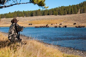 Yellowstone Through the Lens Photography Adventure