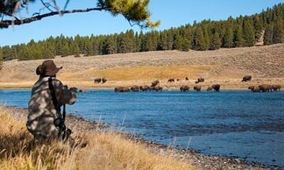 Yellowstone Through the Lens Photography Adventure