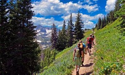 Winding Trails, Big Skies and Intimate Encounters with Nature