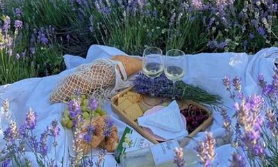 Lavender Fields and Hilltop Villages with Car and Private Guide