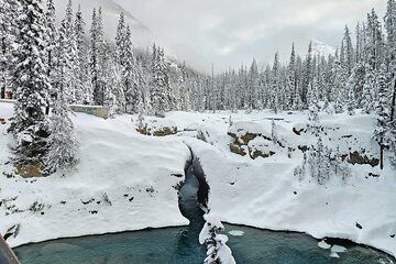 Banff and Yoho Winter Wonderland Private Tour