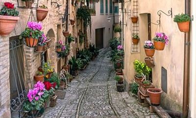 Assisi Day Trip with Olive Oil Tasting and Guide