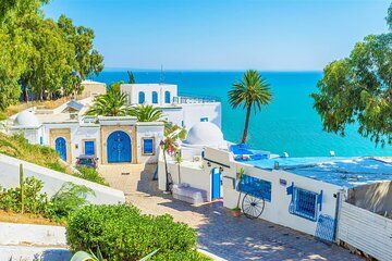 VIP TOUR : Sidi Bousaid , Carthage, Bardo, Médina de Tunis,