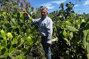 Fruit Garden and Mezcal Tasting Tour with Lunch Included
