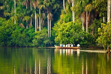 Puerto Maldonado 2 Day Tour to the Peruvian Jungle of Tambopata