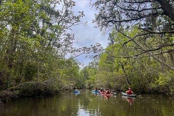 Yellow River Swamp Tour