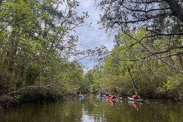 Yellow River Swamp Tour