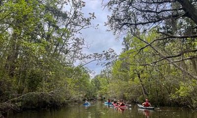 Yellow River Kayak Tour