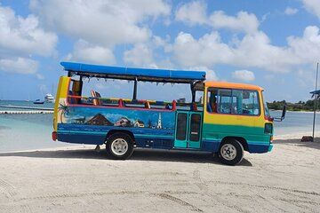 Aruba Beach hopping and Island Sightseeing Tour