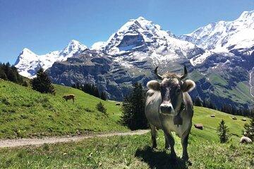 Lauterbrunnen Valley Private Guided Tour