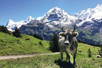 Lauterbrunnen Valley Private Guided Tour