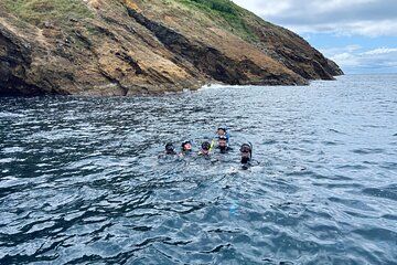 Snorkeling on the Goat Islands Underwater Adventure