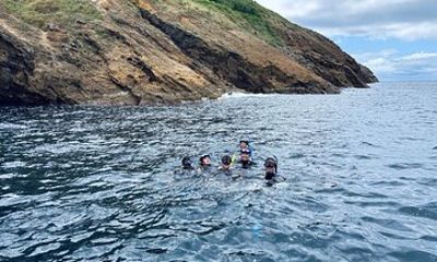 Snorkeling on the Goat Islands Underwater Adventure