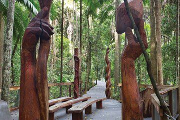 Sea Acres National Park: Sea Acres Aboriginal Coastal Tour