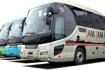 Snowliner from Narita to Hakuba