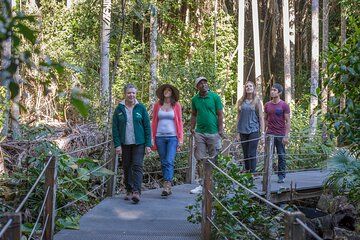 Sea Acres Rainforest Boardwalk Tour