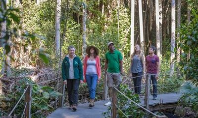 Sea Acres Rainforest Boardwalk Tour