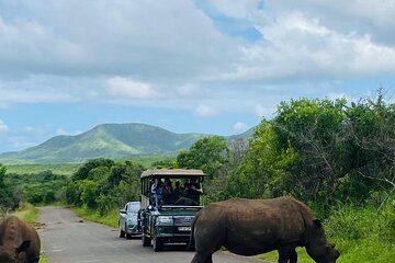 Full Day Hluhluwe Imfolozi Safari Game Drive