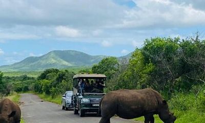 Full Day Hluhluwe Imfolozi Safari Game Drive