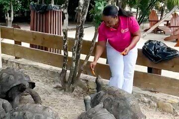 Laviscount Island, Giant Tortoises and Long Bay Beach