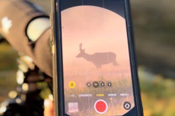 Yellowstone Hidden Gems Hiking Tour West Yellowstone