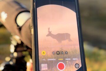 Lower Loop Hot Springs Geysers Private West Yellowstone