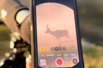 Upper Loop: Lamar Safari from Bozeman | PRIVATE, Burrito + Lunch