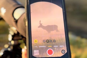 2 Day Yellowstone Safari Upper and Lower Loop Bozeman