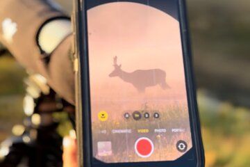 Hot Springs and Geysers Private Tour