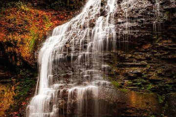 Hamilton Fall Colours & Waterfalls Experience from Toronto