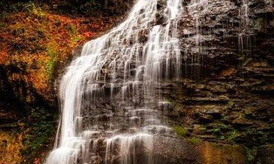 Hamilton Fall Colours & Waterfalls Experience from Toronto