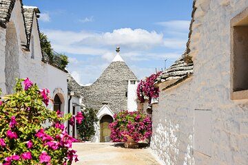 Alberobello and Bari Private Tour From Bari Port