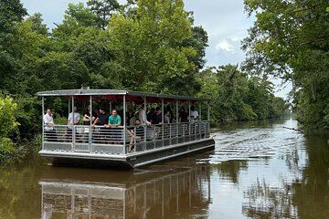 Covered Boat Swamp Tour with Transportation from New Orleans