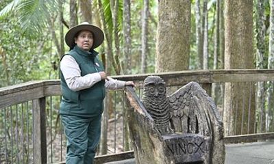 Sea Acres National Park: Aboriginal cultural tour