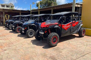 UTV Buggy Bonaire Southside Tour with Beach Option