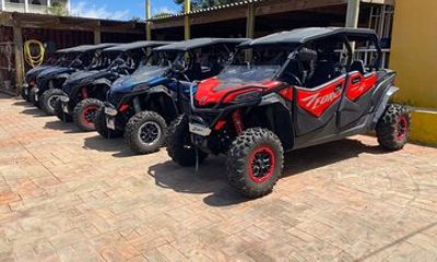 UTV Buggy Bonaire Southside Tour with Beach Option
